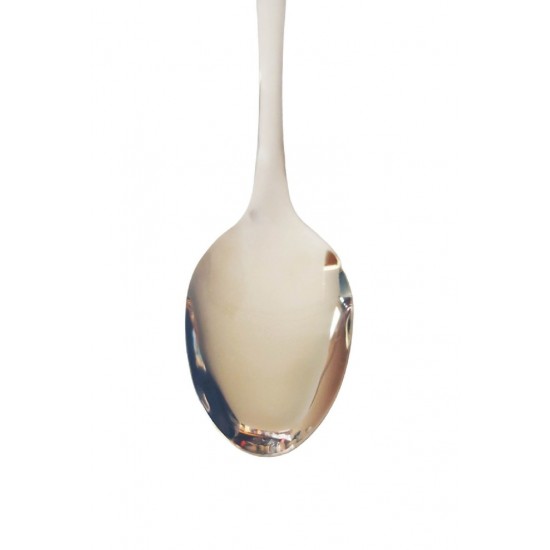 Lingura din inox, 27 cm, 459COF