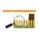 Sticker decorativ, Colivii cu pasari si fluturi, 85 cm, 752STK Sticker decorativ, Colivii cu pasari si fluturi, 85 cm, 752STK