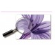 Sticker decorativ, Flori albastre, 160 cm, 744STK Sticker decorativ, Flori albastre, 160 cm, 744STK