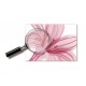 Sticker decorativ, Flori roz, 160 cm, 743STK Sticker decorativ, Flori roz, 160 cm, 743STK