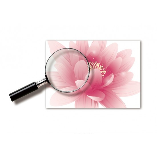 Sticker decorativ, Flori roz, 187 cm, 732STK