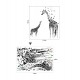 Sticker decorativ, Girafe, 130 cm, 747STK Sticker decorativ, Girafe, 130 cm, 747STK
