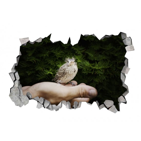 Sticker decorativ, gaura in perete 3D, Bird, 85 cm, 184STK-1 Sticker decorativ, gaura in perete 3D, Bird, 85 cm, 184STK-1