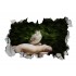 Sticker decorativ, gaura in perete 3D,  Bird, 85 cm, 184STK-1