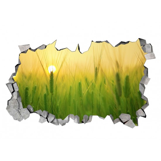 Sticker decorativ, gaura in perete 3D,  Rasarit, 85 cm, 169STK-1