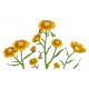 Sticker decorativ, Musatel, 150 cm, 398STK-1 Sticker decorativ, Musatel, 150 cm, 398STK-1