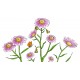 Sticker decorativ, Musatel, 150 cm, 398STK-2 Sticker decorativ, Musatel, 150 cm, 398STK-2