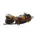 Motocicleta decorativa, Din metal, Negru, 17 cm, 356-3D Motocicleta decorativa, Din metal, Negru, 17 cm, 356-3D