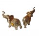 Set 2 elefanti, Auriu, 20 cm, 150904C Set 2 elefanti, Auriu, 20 cm, 150904C