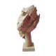 Statueta, Masca, 30 cm, 336IZ Statueta, Masca, 30 cm, 336IZ