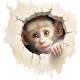 Sticker decorativ, Maimuta, Gri, 1375STK-5