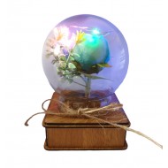 Aranjament floral cu Luminite si Muzicuta, Multicolor, 15 cm, MM9868C Aranjament floral cu Luminite si Muzicuta, Multicolor, 15 cm, MM9868C