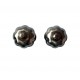 Set 2 Cuburi Dovleac pentru racirea bauturilor, Argintiu, 4 cm, HML58 Set 2 Cuburi Dovleac pentru racirea bauturilor, Argintiu, 4 cm, HML58
