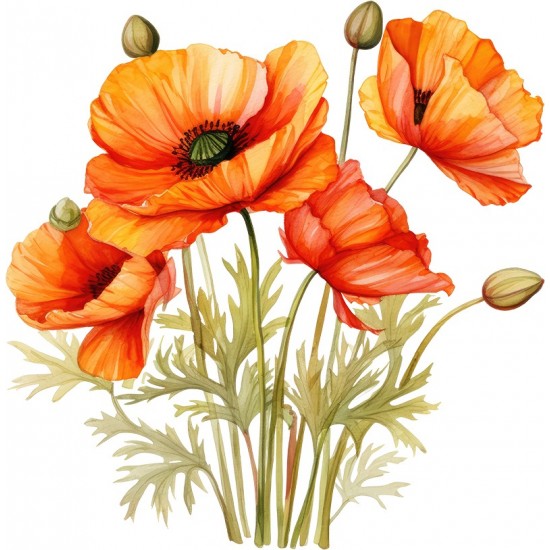 Sticker decorativ, Buchet de Flori Maci, Portocaliu, 61 cm, 1350STK-4 Sticker decorativ, Buchet de Flori Maci, Portocaliu, 61 cm, 1350STK-4