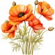 Sticker decorativ, Buchet de Flori Maci, Portocaliu, 61 cm, 1350STK-4 Sticker decorativ, Buchet de Flori Maci, Portocaliu, 61 cm, 1350STK-4