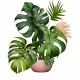Sticker decorativ, Floare, Verde, 72 cm, 1261STK-6 Sticker decorativ, Floare, Verde, 72 cm, 1261STK-6