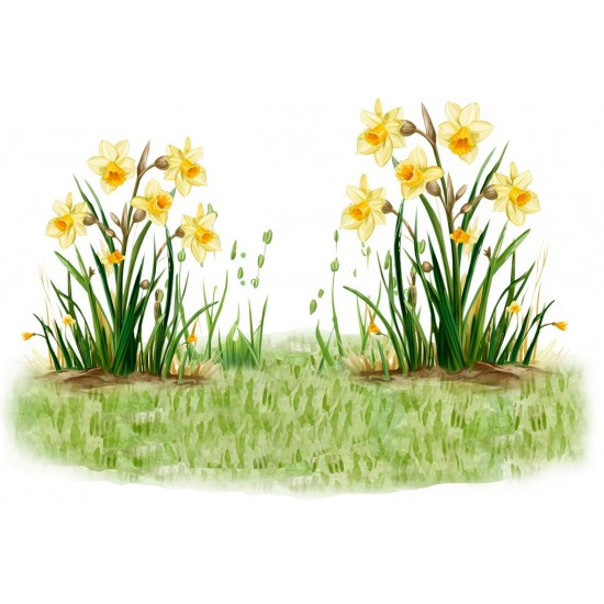 Sticker decorativ, Ghiocei, Galben, 88 cm, 1290STK-2 Sticker decorativ, Ghiocei, Galben, 88 cm, 1290STK-2