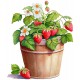 Sticker decorativ, Ghiveci cu Capsuni, Rosu, 72 cm, 1261STK-9 Sticker decorativ, Ghiveci cu Capsuni, Rosu, 72 cm, 1261STK-9