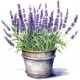 Sticker decorativ, Ghiveci cu Lavanda, Mov, 62 cm, 1339STK-3 Sticker decorativ, Ghiveci cu Lavanda, Mov, 62 cm, 1339STK-3