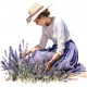 Sticker decorativ, Lavanda, Mov, 63 cm, 1339STK Sticker decorativ, Lavanda, Mov, 63 cm, 1339STK