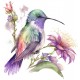 Sticker decorativ, Pasarea Colibri, Multicolor, 62 cm, 1271STK-2 Sticker decorativ, Pasarea Colibri, Multicolor, 62 cm, 1271STK-2