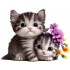 Sticker decorativ, Pisicute, Alb, 76 cm, 1251STK